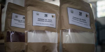 La harina como alimento inclusivo, un proyecto científico de Venezuela