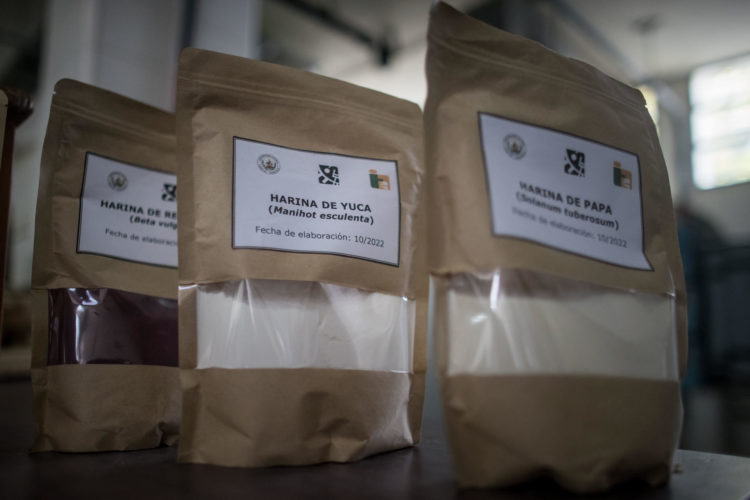 Detalle de varias bolsas de harina procesada en el Instituto de Ciencia y Tecnología de Alimentos de la Universidad Central de Venezuela (UCV), en Caracas (Venezuela). EFE/Miguel Gutiérrez