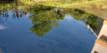 Mérida: U.E. Fermín Ruiz Valero es foco de infecciones para sus estudiantes y personal