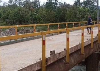 Gobernador de Mérida: El Puente Segura de Onia es un “mamotreto” y un “Show mediático su inauguración”