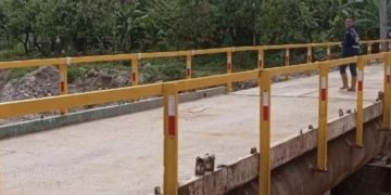 Gobernador de Mérida: El Puente Segura de Onia es un “mamotreto” y un “Show mediático su inauguración”