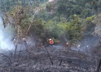 Veinte hectáreas afectadas por incendio en el sector Murmuquena del municipio Zea