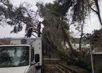 Árbol cayó sobre el Teatro Móvil de la ULA instalado en Camiula para la Caminata Rosa