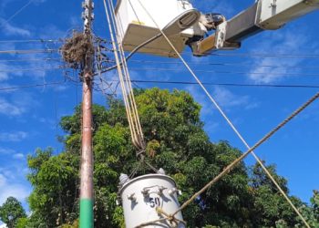 En el municipio La Ceiba falla el fluido eléctrico todos los días