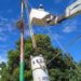En el municipio La Ceiba falla el fluido eléctrico todos los días
