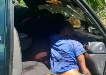 Investigan muerte de cuatro personas en Santa Isabel