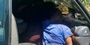 Investigan muerte de cuatro personas en Santa Isabel