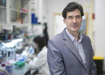 Un estudio revela que la vitamina B12 es clave en reprogramar células y regenerar tejidos