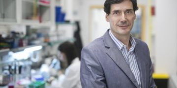 Un estudio revela que la vitamina B12 es clave en reprogramar células y regenerar tejidos