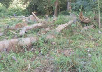 Vertedero publico de desechos sólidos en la vieja ruta Betijoque a las Trincheras