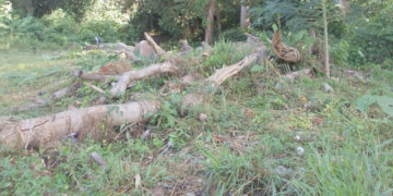 Vertedero publico de desechos sólidos en la vieja ruta Betijoque a las Trincheras