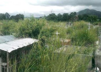 Jesús Caldera: Cementerios de Carvajal y La Cejita “dan pena ajena”
