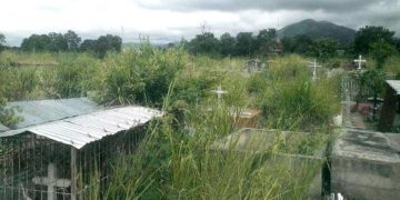 Jesús Caldera: Cementerios de Carvajal y La Cejita “dan pena ajena”