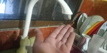 ¿Por qué se va tanto el agua en San Luis?