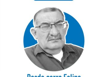 Desde cerro Felipe | Primavera silenciosa | Por: Héctor Díaz