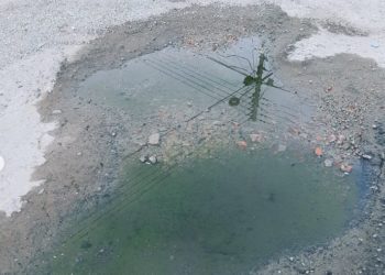 El Vigía, una Zona Turística con cráteres lunares convertidos en estanques de agua con criaderos de insectos y anfibios como experiencia añadida