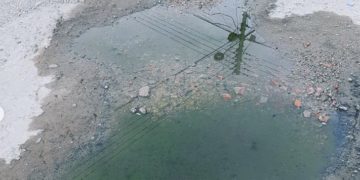 El Vigía, una Zona Turística con cráteres lunares convertidos en estanques de agua con criaderos de insectos y anfibios como experiencia añadida