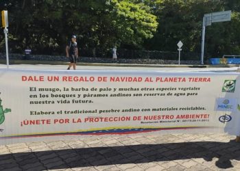 En Mérida velarán por el cumplimiento de la prohibición de extracción y comercialización de musgo