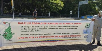 En Mérida velarán por el cumplimiento de la prohibición de extracción y comercialización de musgo