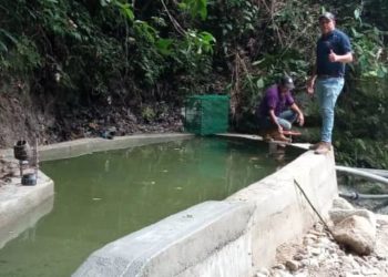 Mérida | Zea cuenta con nuevo dique