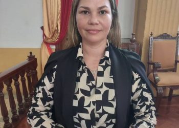 Liliana Guerrero: Al estilo de Amores que Matan el Gobernador y Alcalde de Mérida desangran al pueblo con cobros excesivos de servicios