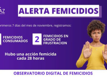 El Observatorio Digital de Femicidios de Cepaz documentó 4 femicidios consumados en la primera semana de noviembre