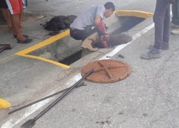Alcaldía de La Ceiba: Al día con atención a los servicios públicos de localidades del municipio