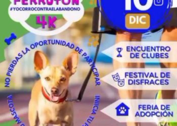 Táchira| Realizan el primer Festival de Mascotas y Perrotón 4K