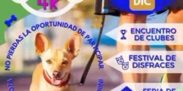 Táchira| Realizan el primer Festival de Mascotas y Perrotón 4K