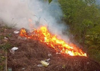 “Basurero urbano” improvisado de Carvajal suma 5 días incendiándose