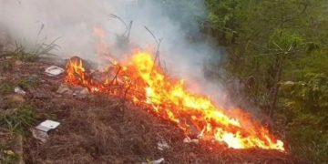 “Basurero urbano” improvisado de Carvajal suma 5 días incendiándose