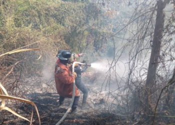 Bomberos de Trujillo controlaron siete incendios durante última semana