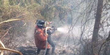 Bomberos de Trujillo controlaron siete incendios durante última semana