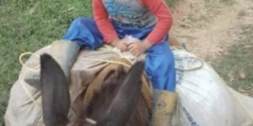 Muerte de niño mordido por culebra enciende alertas por distribución de suero antiofídico en Mérida