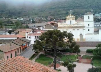 La fortuna tras  unos animalitos (Parte III) | Pedro Frailán