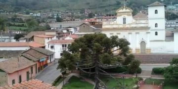 La fortuna tras  unos animalitos (Parte III) | Pedro Frailán