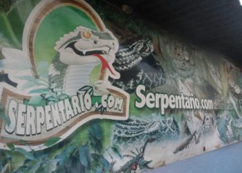 El Serpentario realiza exposición de fauna silvestre en San Juan de Isnotú