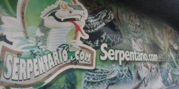 El Serpentario realiza exposición de fauna silvestre en San Juan de Isnotú