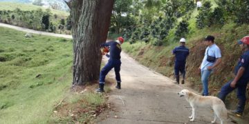 Realizan poda de árboles riesgosos en Boca del Monte