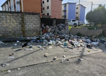 Sectores valeranos pasarán Navidad entre la basura