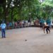 Invitan a nuevo torneo de bolas criollas y bochas en Boconó 