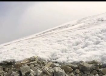 Más de cien personas instalarán la malla geotextil para salvar la “corona del Humboldt” en Mérida
