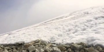 Más de cien personas instalarán la malla geotextil para salvar la “corona del Humboldt” en Mérida