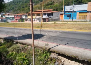 ULA anfitriona del primer Congreso Internacional del Café en marzo 2024