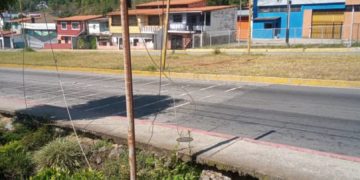 ULA anfitriona del primer Congreso Internacional del Café en marzo 2024