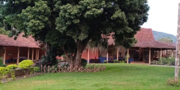 1era Exposición Colectiva «Pintores Boconeses” cierra el año en el Museo Trapiche de los Clavo