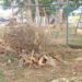 Abunda la basura que no recoge el gobierno local de Rafael Rangel