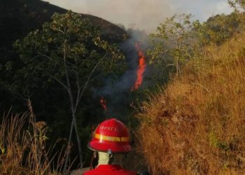 Bomberos de Trujillo reportan 81 incendios entre forestales y de vegetación