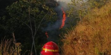 Bomberos de Trujillo reportan 81 incendios entre forestales y de vegetación
