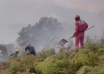 Ante el aumento de los incendios: Bomberos Forestales hacen un llamado a la población en Boconó